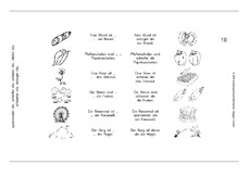 Adj-2.Vergleichsstufe-10.pdf